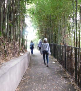 "Radiantly Resplendent in The Huntington Library" Photo "Radiantly Resplendent in The Huntington Library" Photo