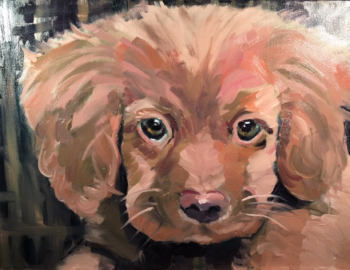 2016 Deb Maccagnano teaches children ages 9-14 to paint in oil on canvas. These are her students' masterpieces! 2016 Deb Maccagnano teaches children ages 9-14 to paint in oil on canvas. These are her students' masterpieces!