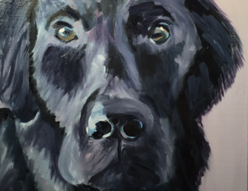 2016 Deb Maccagnano teaches children ages 9-14 to paint in oil on canvas. These are her students' masterpieces! 2016 Deb Maccagnano teaches children ages 9-14 to paint in oil on canvas. These are her students' masterpieces!