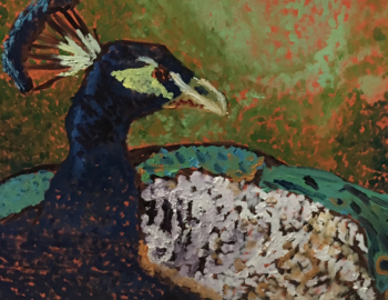 2016 Deb Maccagnano teaches children ages 9-14 to paint in oil on canvas. These are her students' masterpieces! 2016 Deb Maccagnano teaches children ages 9-14 to paint in oil on canvas. These are her students' masterpieces!